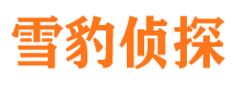 泽库市侦探公司